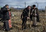 Село Дъбрава, Благоевград – Трифон Зарезан