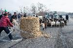 Благоевград - Протест на животновъди - Ново Делчево