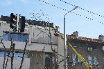 Бургас - Отстраняват опасни клони