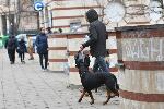 София - столичани пълнят минерална вода