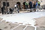 София - протест
