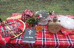 Гости от Италия, Испания, Португалия и Словения зарязаха лозите в община Болярово