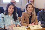 СОФИЯ - Народно събрание - Парламентарна комисия за `Нотариуса` - Изслушване на Владислава Цариградска и Невена Зартова