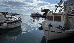 Кавала - Риболов на пристанището