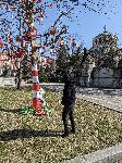 Плевен - Първомартенска украса