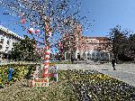 Плевен - Първомартенска украса