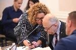 СОФИЯ - Народно събрание - Временна парламентарна комисия за проверки на обстятелства и факти за дейността на Глеб Мишин