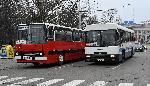 София – Ретро автобуси