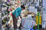 Доброволци от Гората БГ разчистват Централни софийски гробища и засаждат люляк