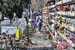 СОФИЯ - Централни софийски гробища - Акция на доброволци от Гората БГ за разчистване на гробищния парк
