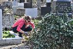 СОФИЯ - Централни софийски гробища - Акция на доброволци от Гората БГ за разчистване на гробищния парк