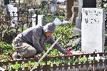 СОФИЯ - Централни софийски гробища - Акция на доброволци от Гората БГ за разчистване на гробищния парк