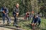СОФИЯ - Централни софийски гробища - Акция на доброволци от Гората БГ за разчистване на гробищния парк