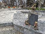 Плевен - Пластика "Жабките"