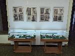 Плевен - Изложба в Историческия музей