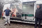 Кресна -  пускане в дивата природа на черни лешояди от Испания