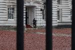 Лондон - Повреда на двореца - забила се кола