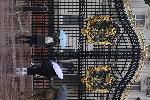 Лондон - Повреда на двореца - забила се кола