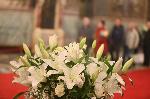 София - Поклонение пред покойния патриарх Неофит