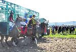 Дългопол - Конни надбягвания