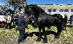 Харманли - Кушии в село Бисер