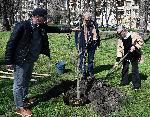 София – Засаждане на дървета в парка Заимов от журито на София филм фест