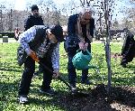 София – Засаждане на дървета в парка Заимов от журито на София филм фест