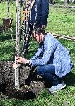 София – Засаждане на дървета в парка Заимов от журито на София филм фест