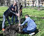 София – Засаждане на дървета в парка Заимов от журито на София филм фест