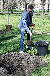 София – Засаждане на дървета в парка Заимов от журито на София филм фест