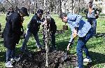 София – Засаждане на дървета в парка Заимов от журито на София филм фест