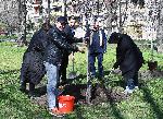 София – Засаждане на дървета в парка Заимов от журито на София филм фест