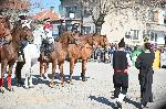 София -Тодоровден с Конна полиция в район "Сердика"
