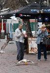 Варна - Гларуси крадат храна от минувачи