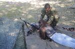 Ямбол - Ден на отворени врати в армията