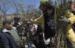 София – Опашка за фиданки в парка на НДК