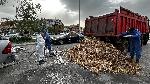 Камион разпиля стотици мъртви пилета на улица  в Хасково.