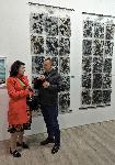 Плевен - Изложба на плевенските художници
