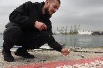 Варна - Сафрид