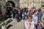 Хиляди на опашки пред плевенските храмове за върбови клонки