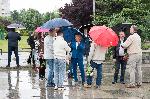 София - Солидарна България-цветя на паметник Съветска армия