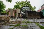 София - Сигнал за незаконно разрушаване и изсичане на дървета