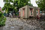 София - Сигнал за незаконно разрушаване и изсичане на дървета
