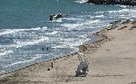 Буртас - Първите плажни чадъри