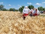 Ямбол - Откриване на жътвена кампания с.Търнава