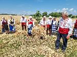 Ямбол - Откриване на жътвена кампания с.Търнава