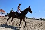 Садовец - Конно състезание