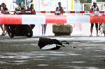 Бургас - Забравен багаж