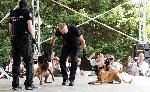 Антидрога каманията НЕ СТЕ САМИ  на Агенция "Митници" днес е в община Димитровград