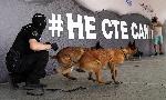 Хасково - Антидрога кампания - община Димитровград